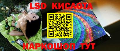 ГАЛЛЮЦИНОГЕННЫЕ ГРИБЫ Кулебаки