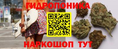 ГАЛЛЮЦИНОГЕННЫЕ ГРИБЫ Кулебаки